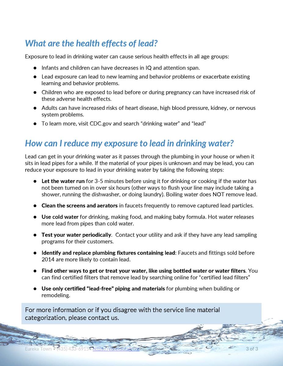 Flyer 3